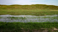 Sandhills reflections